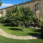 Cammarana *